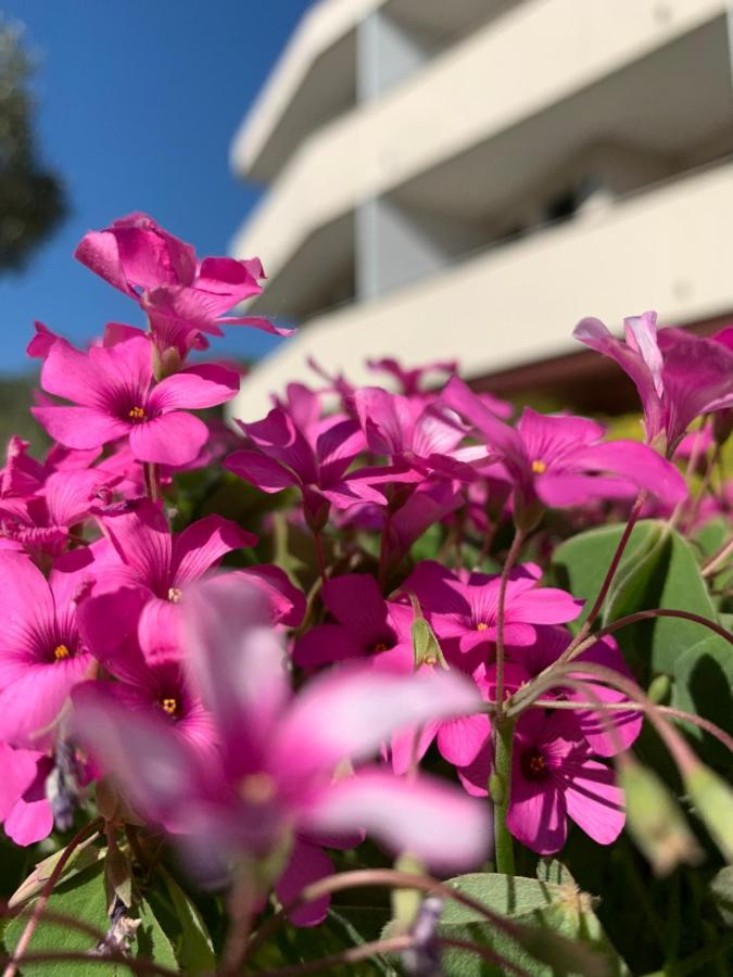 Eurobeach Residence คาวัลลิโน-เตรปอร์ติ ภายนอก รูปภาพ